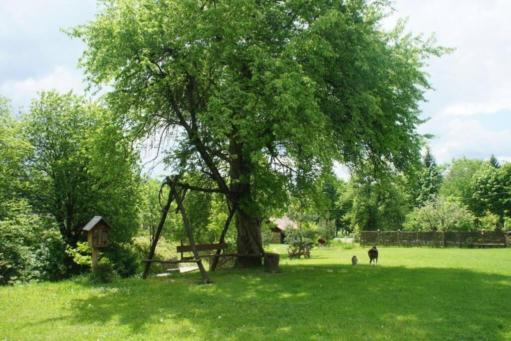 Agroturystyka Ropienka Exterior photo